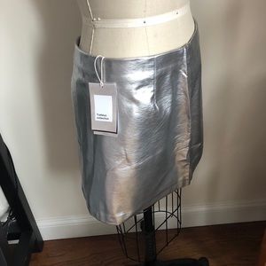 ZARA metallic skirt